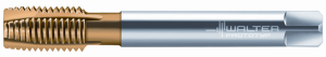 Метчики машинные HSS-E Walter P2036005-M6