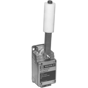 Концевой выключатель Telemecanique Sensors L525WDR2M59