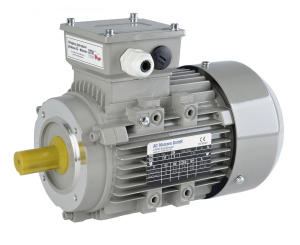 Асинхронные двигатели AC Motoren FCA 100 L-2/HE