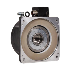 Allen-Bradley RDB-B29024-3B72AA RDD Ротационные серводвигатели с прямым приводом