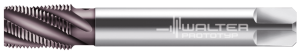 Метчики машинные HSS-E Walter 2546706-NPT1/8
