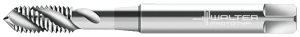 Метчики машинные HSS-E Walter P20519-M2.6