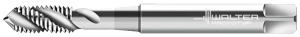 Метчики машинные HSS-E Walter P20539-M5