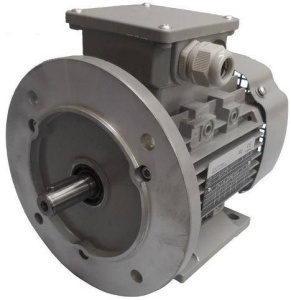 Однофазные электродвигатели AC Motoren FBSP 90 L-2