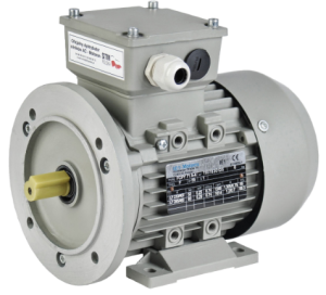 Асинхронные двигатели AC Motoren FCPA 132 M-8/SPE