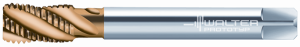 Метчики машинные HSS-E Walter M2056305-M20
