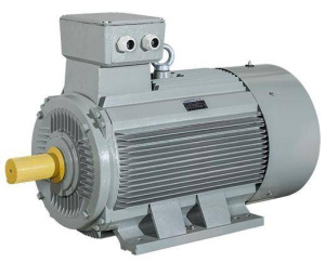 Асинхронные двигатели AC Motoren ACM 355 M-4/PHE