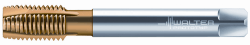 Метчики машинные HSS-E Walter M2026305-M20