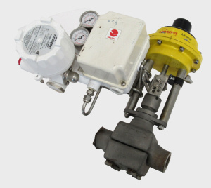 Клапан Flowserve 70-191000