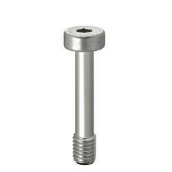 Misumi Cover Bolts/Low Head